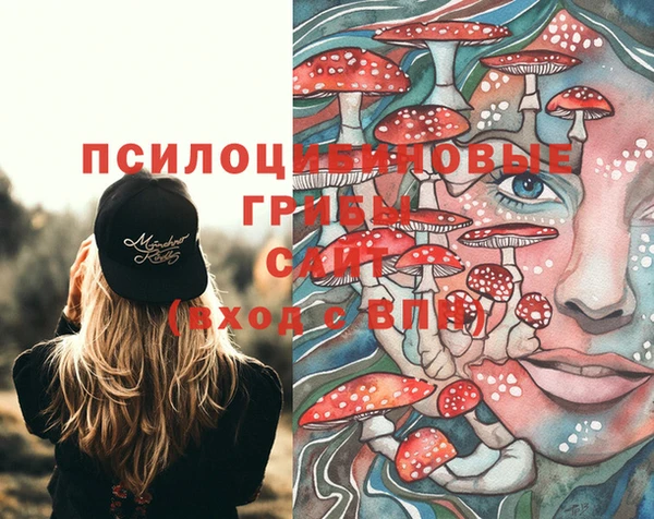 дмт Бронницы