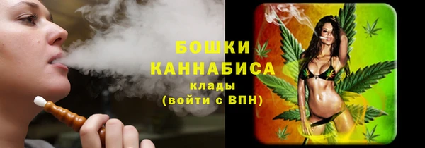 Альфа ПВП Радужный