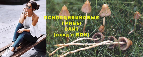 метадон Анжеро-Судженск