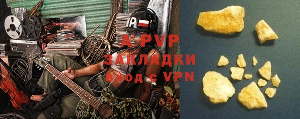 ПСИЛОЦИБИНОВЫЕ ГРИБЫ Алагир