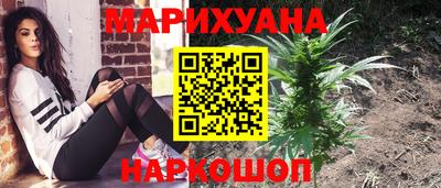 индика Апшеронск