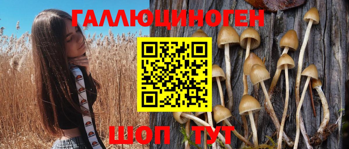 Псилоцибиновые грибы прущие грибы Ейск